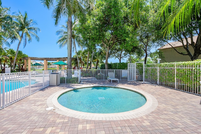 view of pool featuring a patio