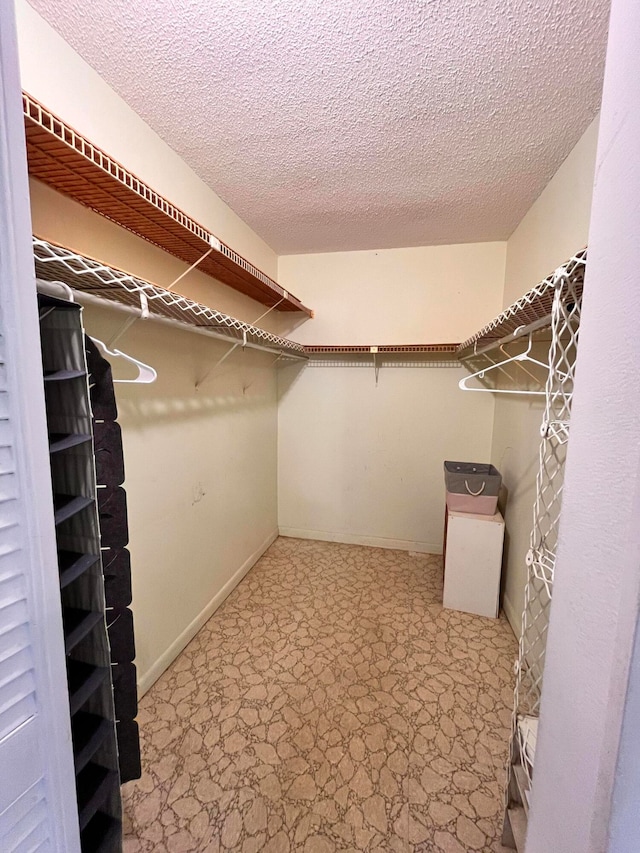 view of spacious closet