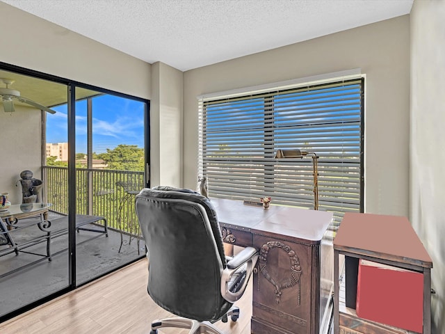 office area with hardwood / wood-style floors, a textured ceiling, and ceiling fan