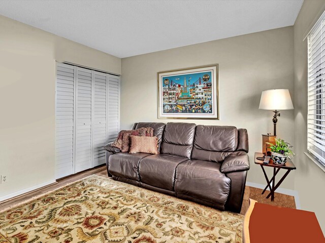 living room featuring wood-type flooring