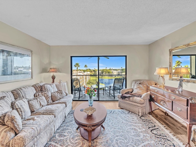 living room with a textured ceiling and light wood-type flooring