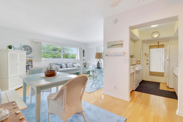 dining room featuring ceiling fan and light hardwood / wood-style flooring