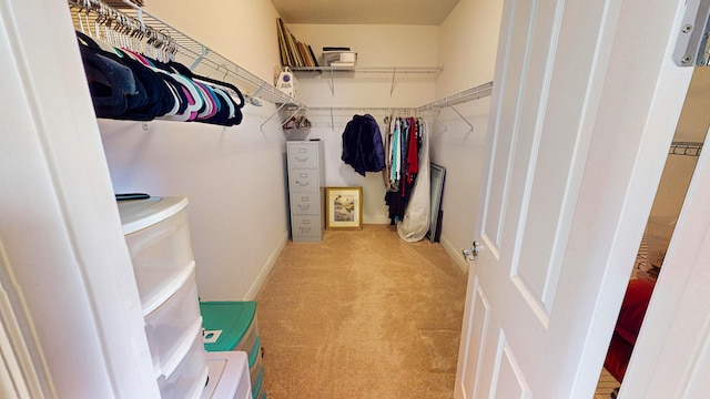 spacious closet with light carpet