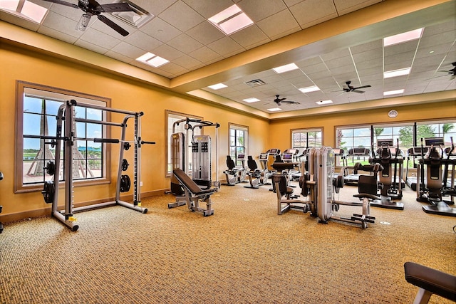 gym with a paneled ceiling, ceiling fan, plenty of natural light, and carpet