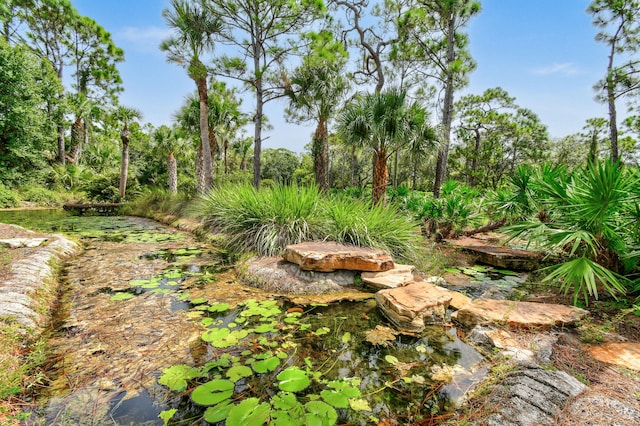 view of local wilderness