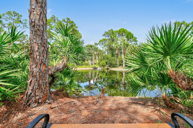 view of water feature