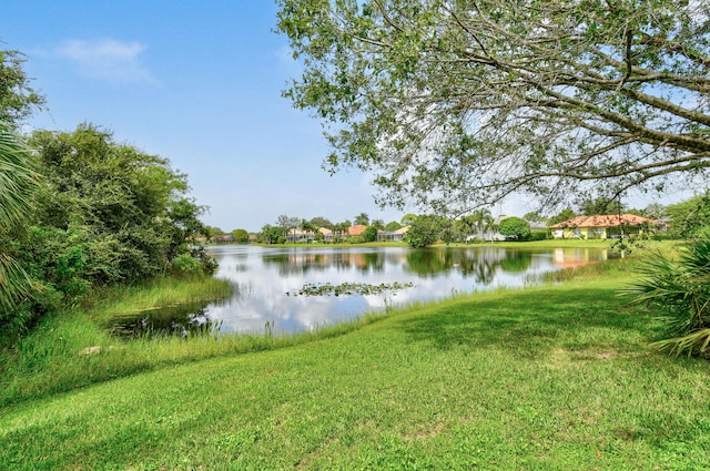 water view