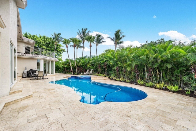 view of swimming pool with a patio area