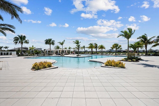 view of swimming pool featuring a patio