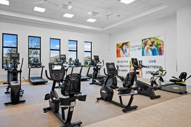 workout area with a high ceiling, a drop ceiling, and a wealth of natural light