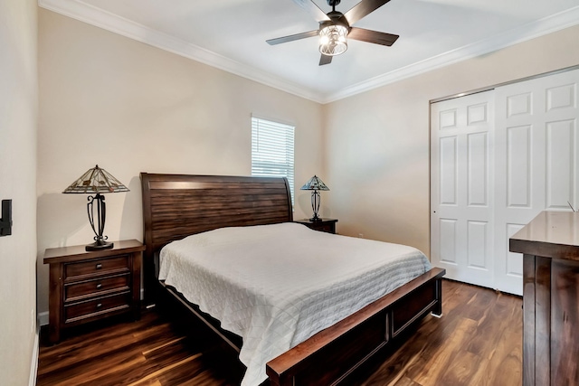 bedroom featuring a ceiling fan, ornamental molding, dark wood finished floors, and a closet