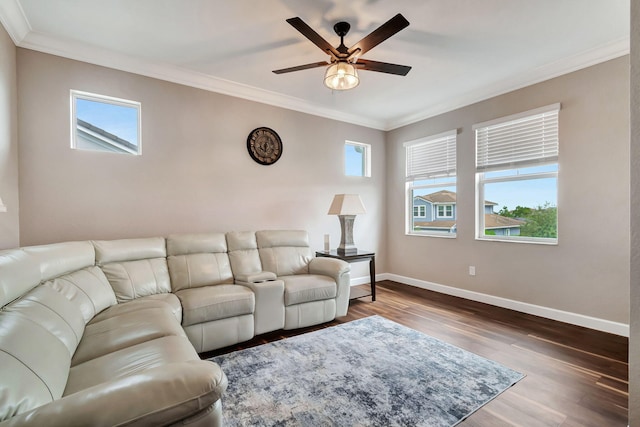 living room with crown molding, dark wood-type flooring, and ceiling fan