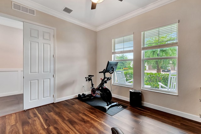 workout area with dark hardwood / wood-style flooring, crown molding, and ceiling fan