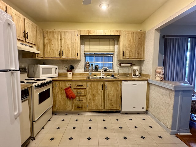 kitchen with white appliances and sink