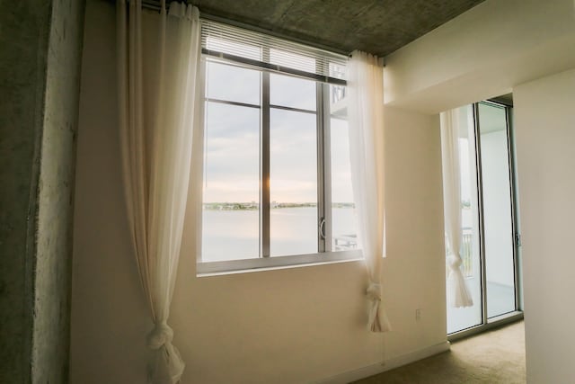 unfurnished room featuring a water view, plenty of natural light, and light carpet