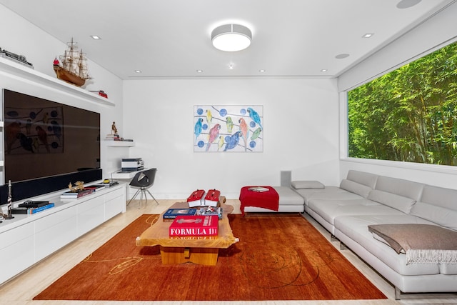 living room with hardwood / wood-style flooring