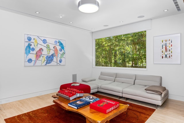 living room with wood-type flooring and plenty of natural light