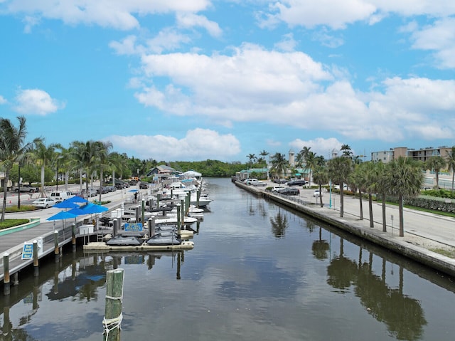 dock area with a water view