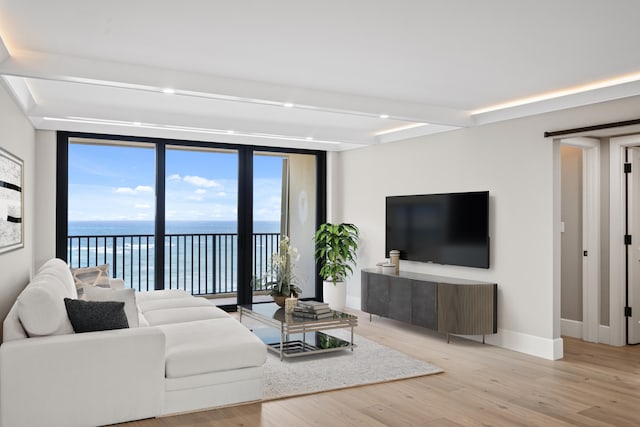 living room featuring a water view and light hardwood / wood-style floors