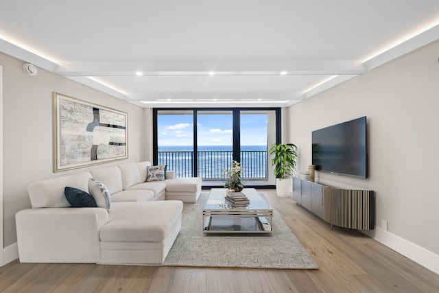 living room with light hardwood / wood-style floors and floor to ceiling windows