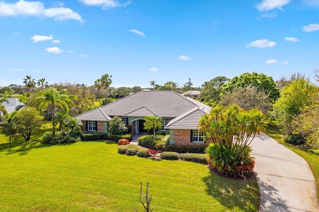 ranch-style home with a front yard