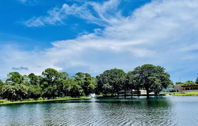 view of water feature