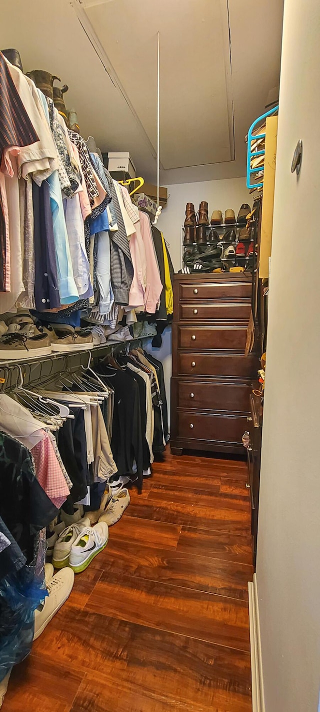 walk in closet featuring dark wood-style flooring