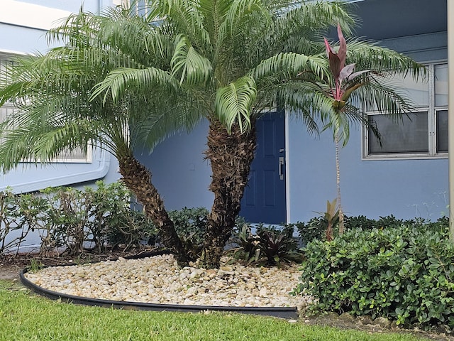 property entrance featuring stucco siding