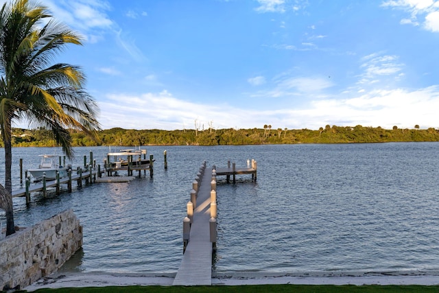 dock area featuring a water view