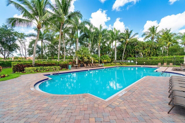 view of pool featuring a patio area