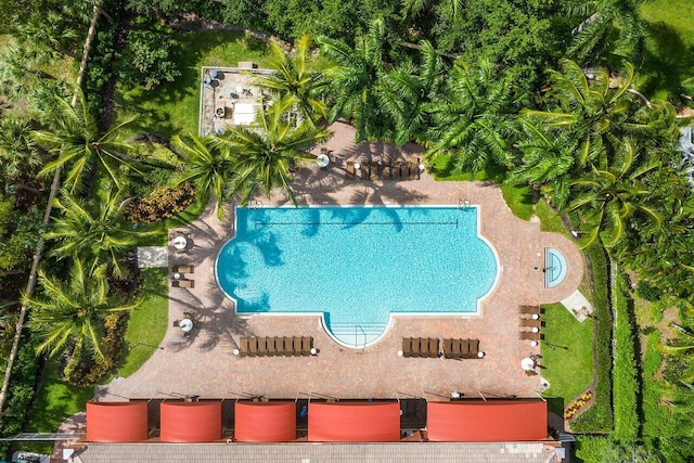 view of swimming pool featuring a patio area