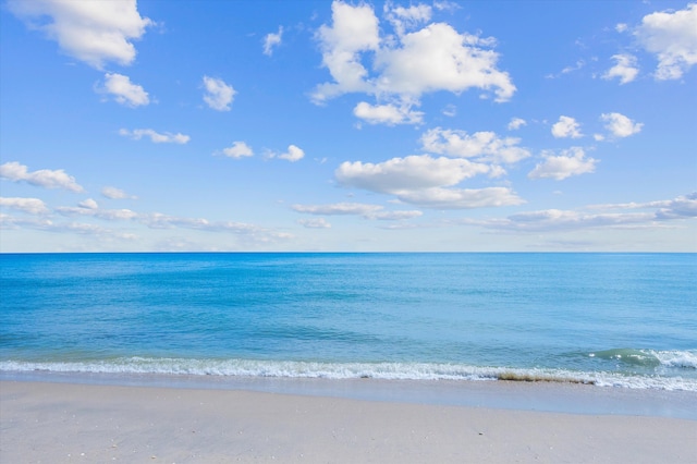 water view featuring a beach view