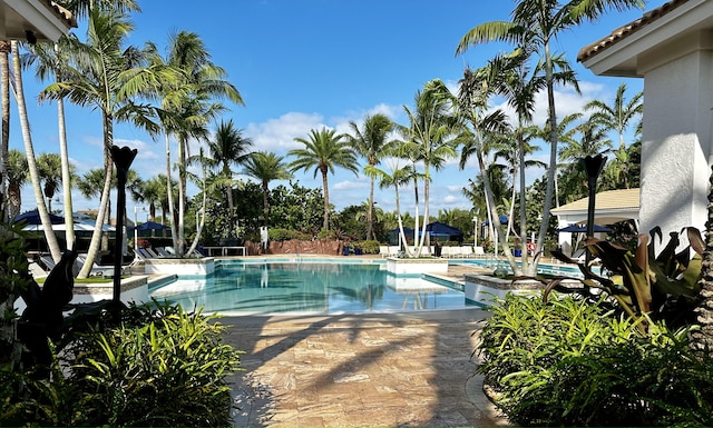 view of pool featuring a patio