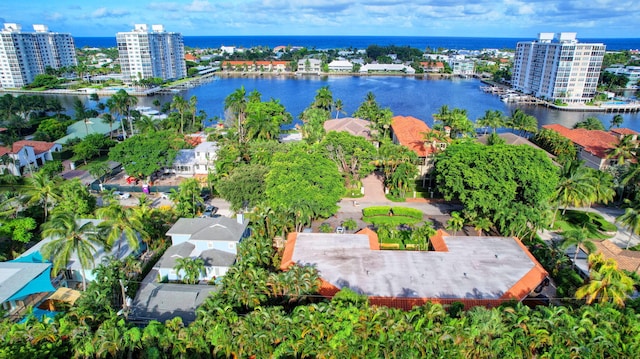 drone / aerial view with a water view