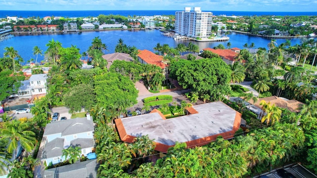 aerial view with a water view