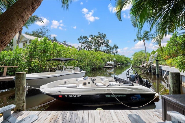 dock area featuring a water view