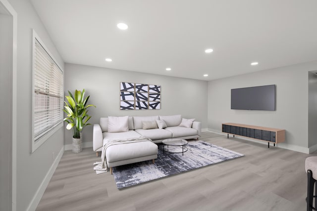 living room with light wood-type flooring