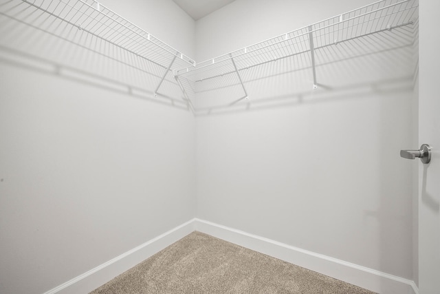 walk in closet featuring carpet