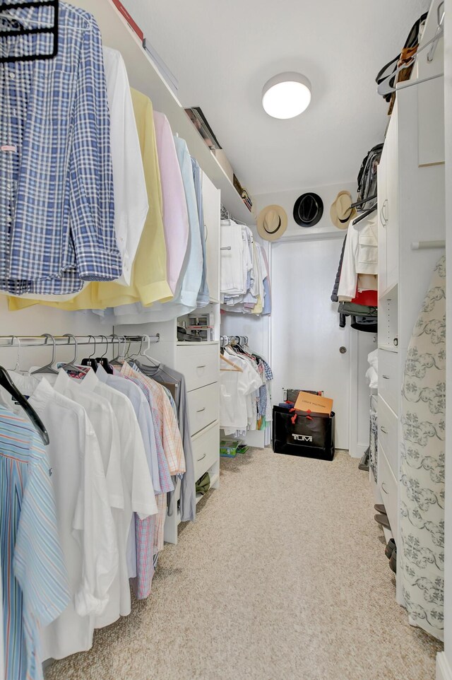 spacious closet featuring light colored carpet