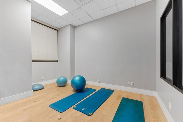 exercise area featuring a paneled ceiling and hardwood / wood-style flooring