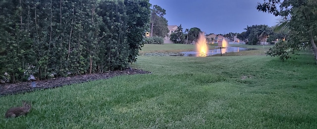 view of yard at dusk