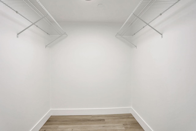 spacious closet featuring wood-type flooring