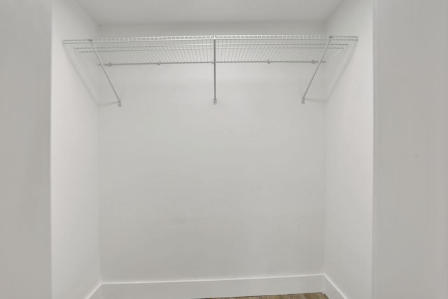 spacious closet featuring hardwood / wood-style flooring