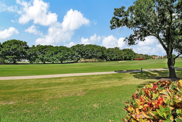 view of property's community with a lawn