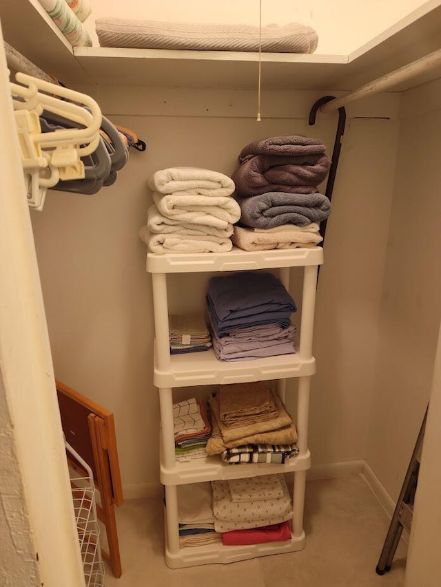 spacious closet with carpet