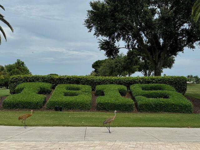 view of property's community with a yard