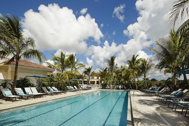 view of pool featuring a patio