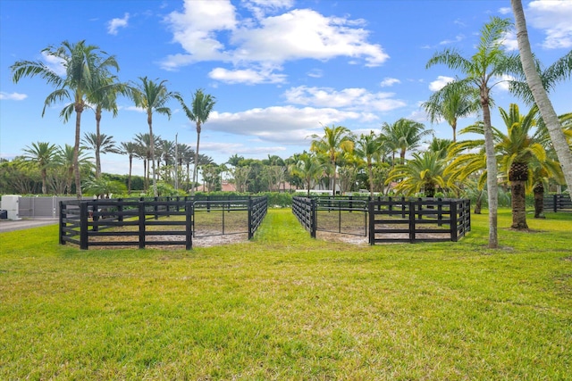 surrounding community featuring a yard