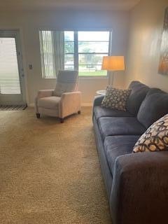 living room featuring carpet