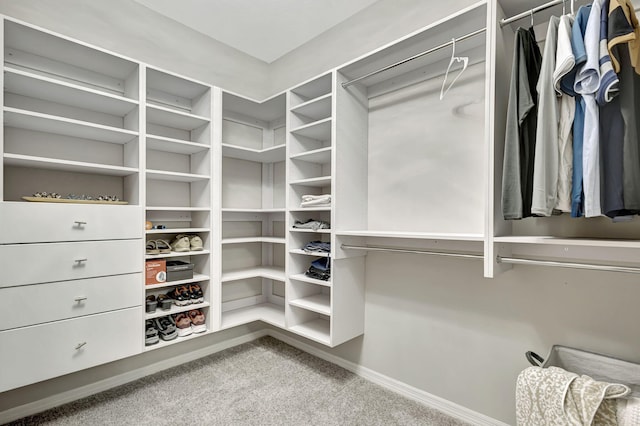 spacious closet with carpet